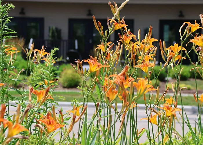 Апартаменты Charming Riverfront - Heart Of Downtown West Dundee